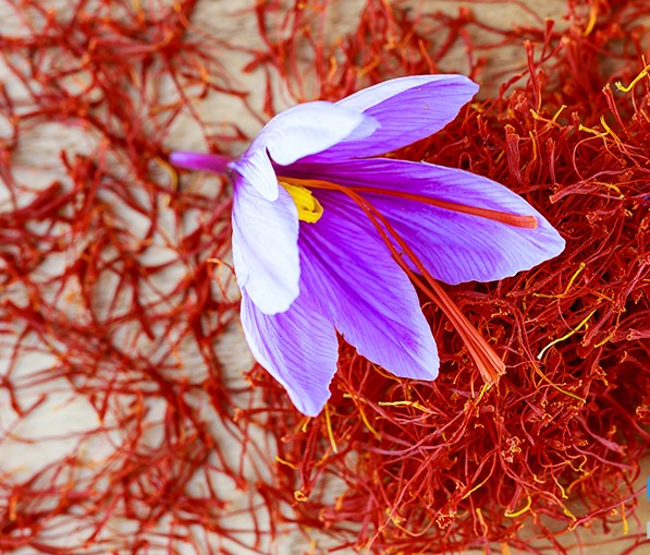 خرید زعفران