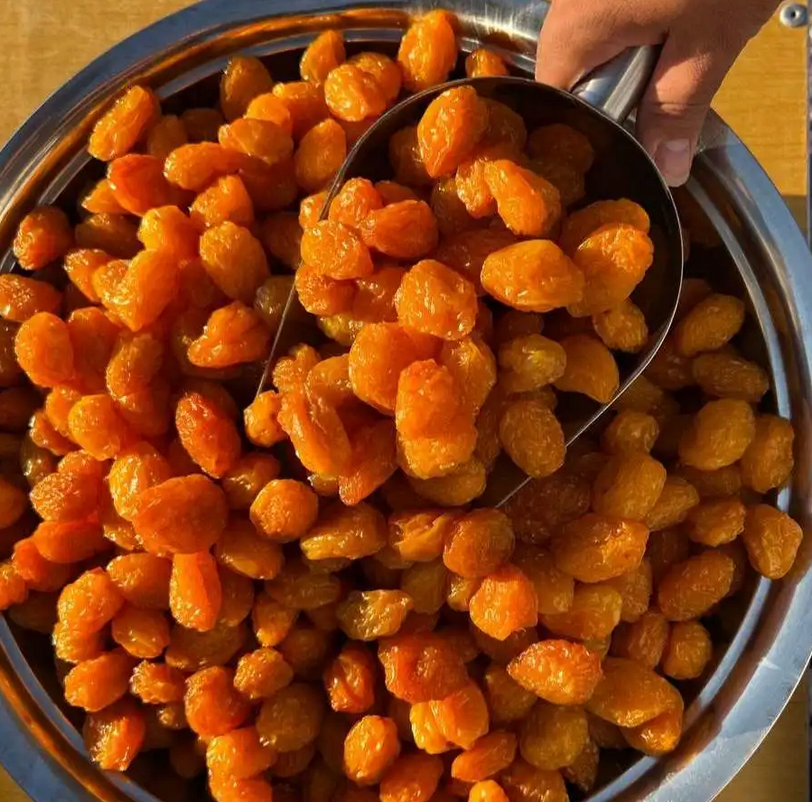 خرید آلو خشک و آلو بخارا