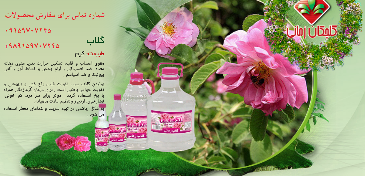 گلاب یا گل محمدی خشک شده؟